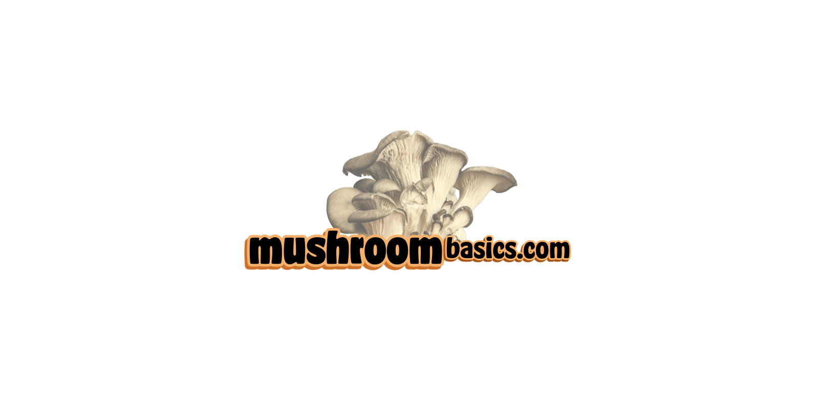mushroombasics.com